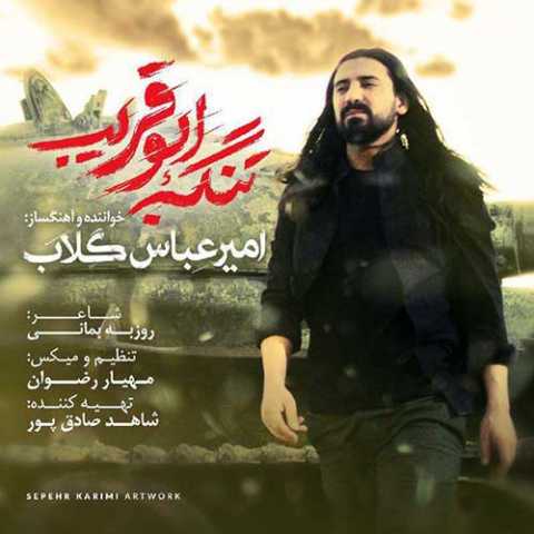 دانلود آهنگ امیر عباس گلاب تنگه ابوقریب دانلود آهنگ امیر عباس گلاب تنگه ابوقریب